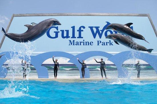 Parque Marino Gulf World